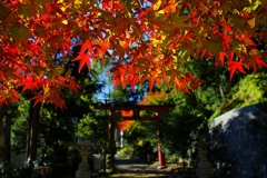 IMG_7155oihhojoijoiho