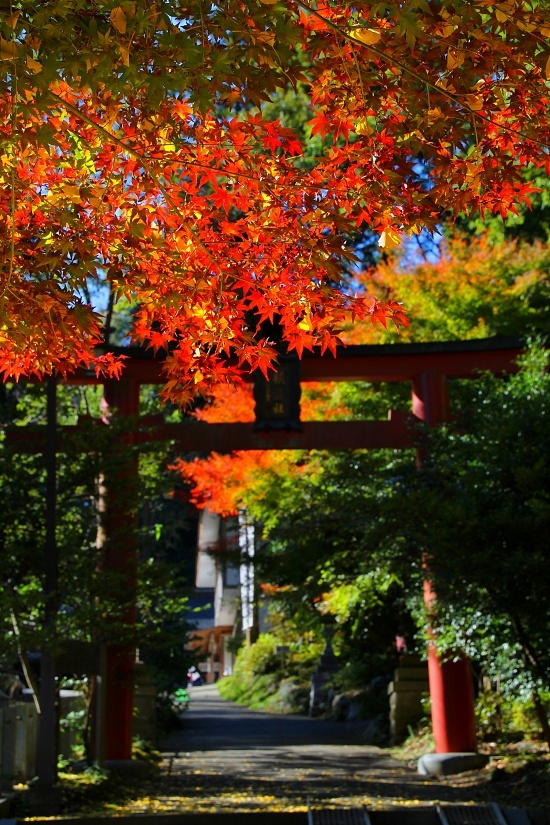 IMG_7123gtsrthdynhfuy