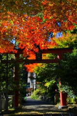 IMG_7123gtsrthdynhfuy