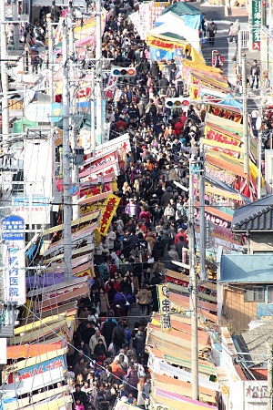 IMG_9967これこれ