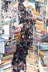 IMG_9967これこれ