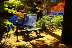 IMG_7108ｊｔｙｊｕststsh