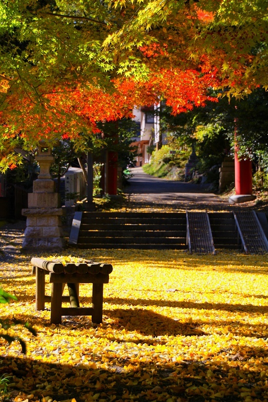 IMG_7153thdtyjfyukugi