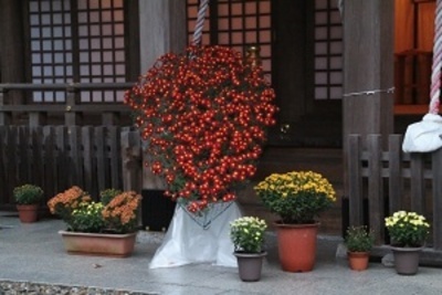 IMG_66666666666666666