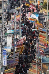 IMG_9968これこれ２