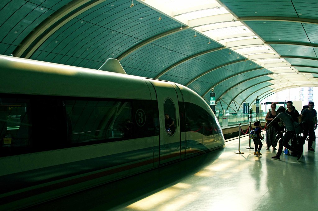 Shanghai　snap　1