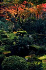 紅葉1京都にて