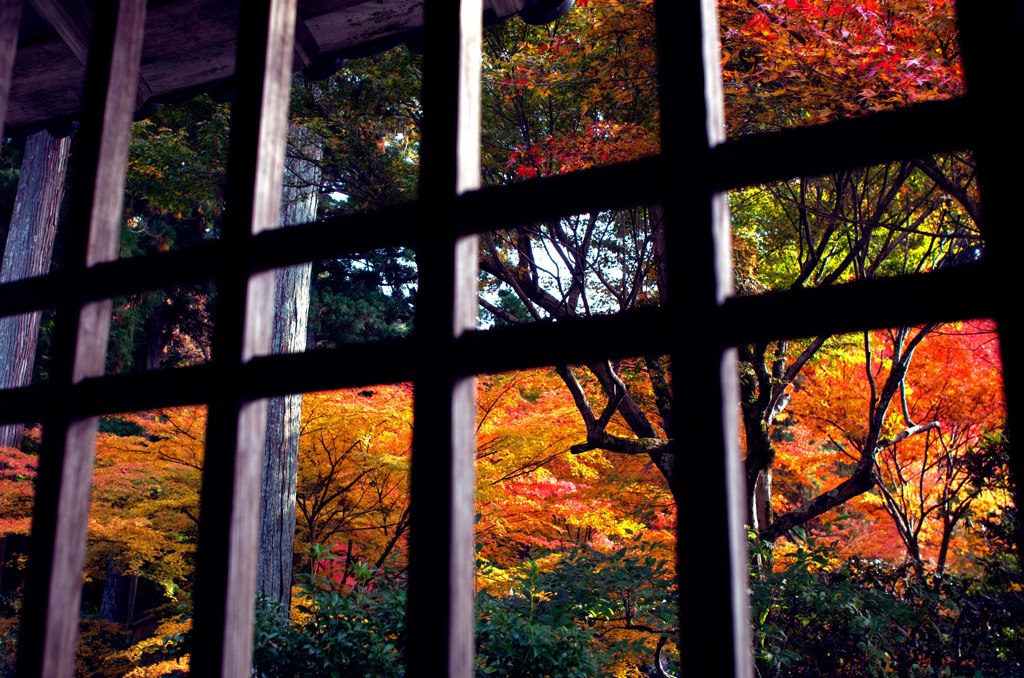 紅葉2京都にて