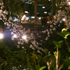 京都スナップ1
