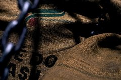 coffee-image1