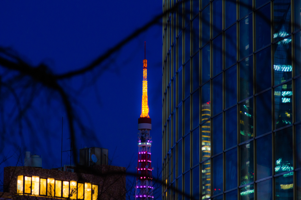 ひっそりと東京タワー