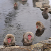 温泉だけど