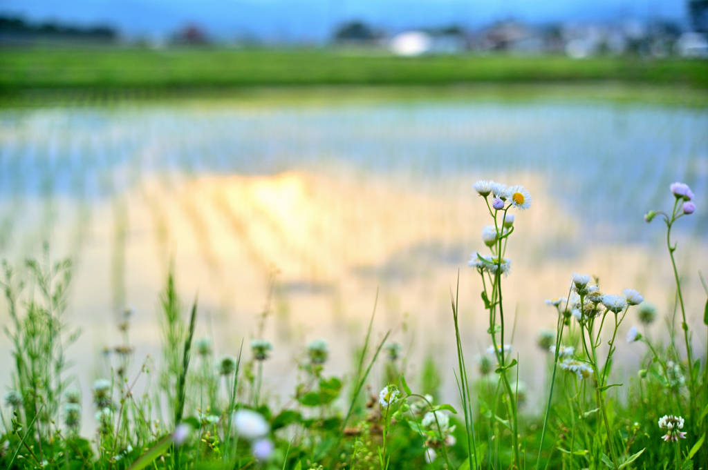 2023-05-27_180732_DSC_6145