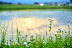 2023-05-27_180732_DSC_6145