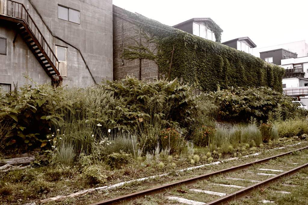 生まれる前に思いを馳せて