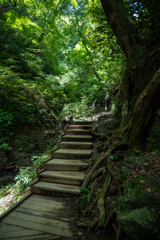 階段のほうが辛い