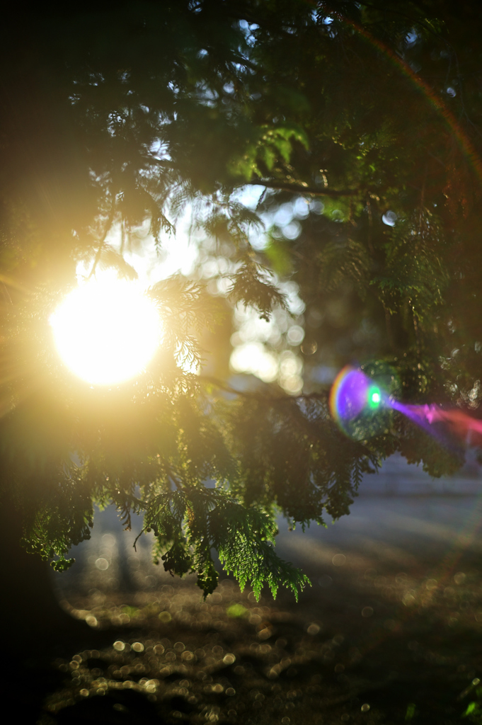 2023-06-03_181622_DSC_6318