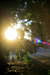 2023-06-03_181622_DSC_6318