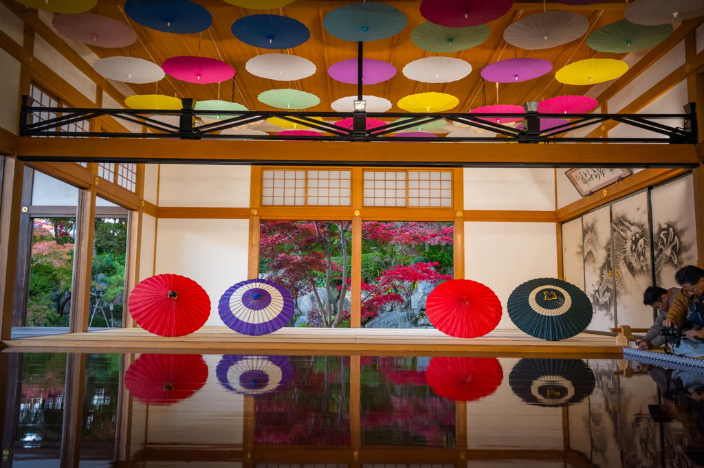 2025-11-15_150922_DSC_6275