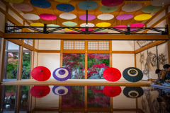 2025-11-15_150922_DSC_6275