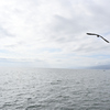 海へ