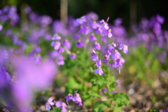 2022-04-10_163723_DSC_8180