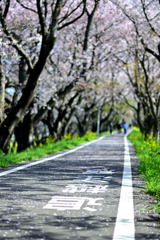 2023-04-01_084256_DSC_1904