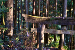 ただただたたずむ