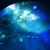 海の底体験