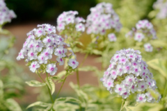 2023-07-02_155428_DSC_7637