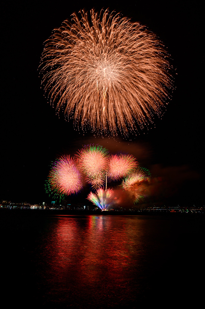 夜に咲く大輪