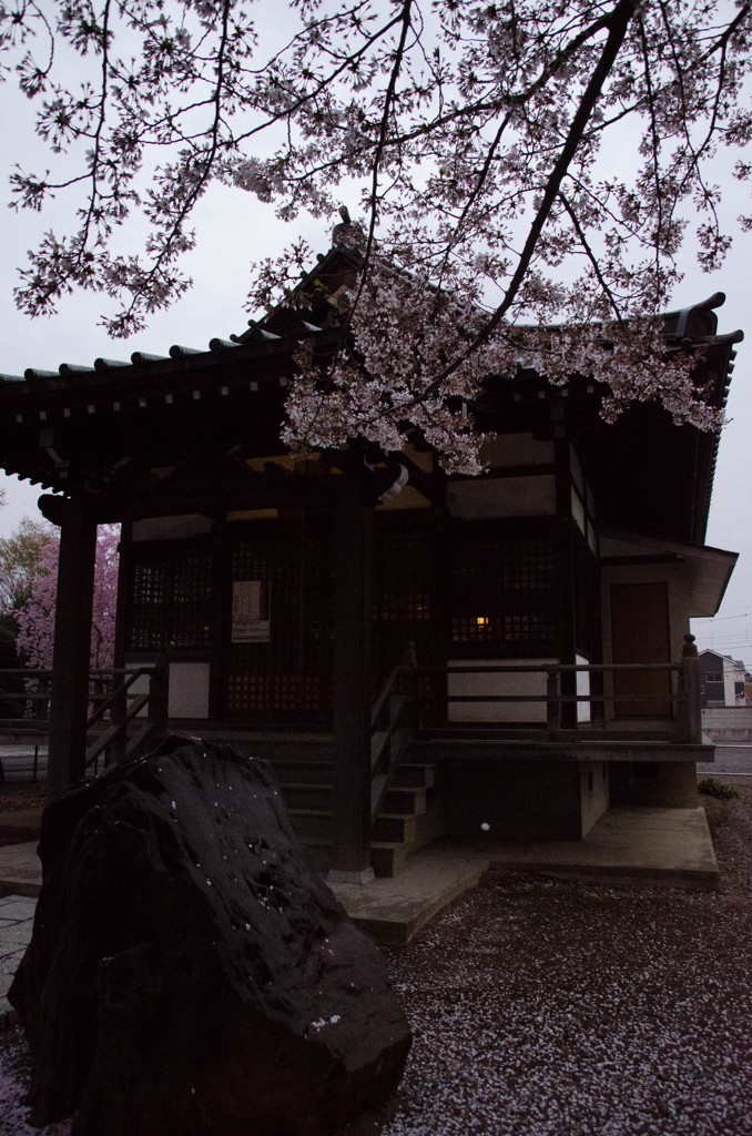 桜餡