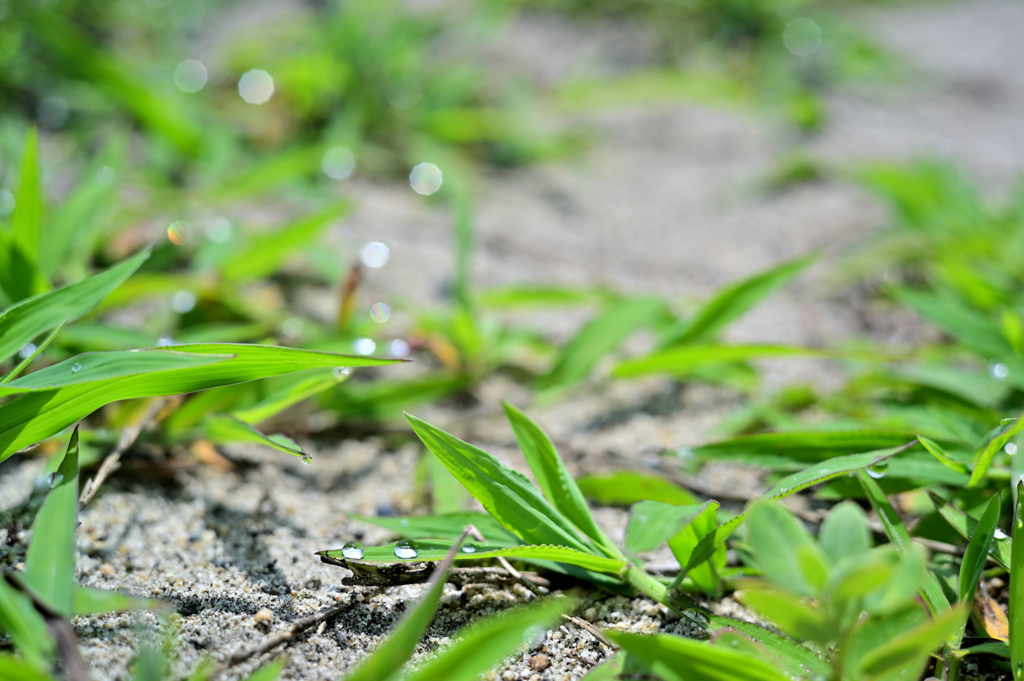 2022-07-29_105440_DSC_9831