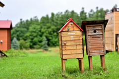 2023-08-07_105515_DSC_8953