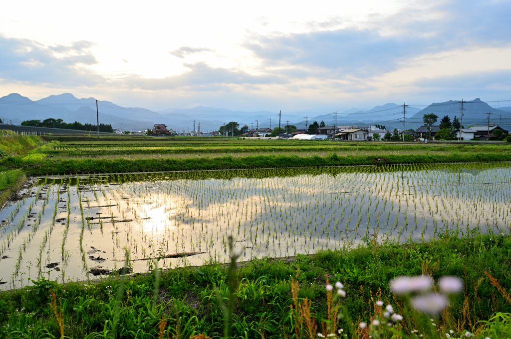 2023-05-27_175547_DSC_6121