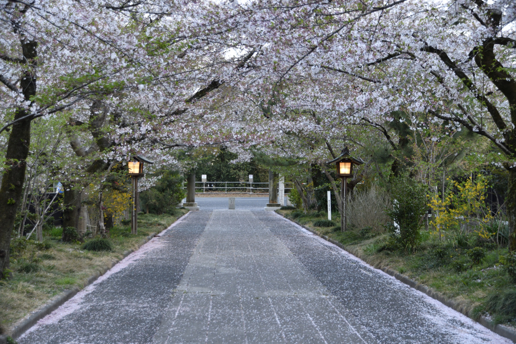 参道