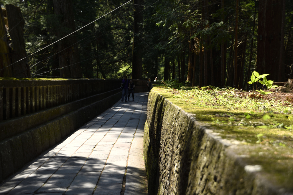 2016-05-22_095849__DSC1207_00004