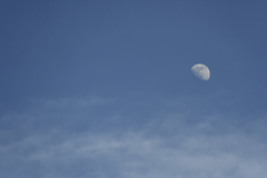 雲の上の月