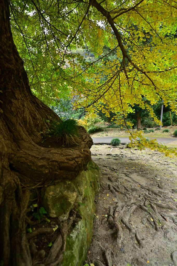 2022-11-20_152258_DSC_5838