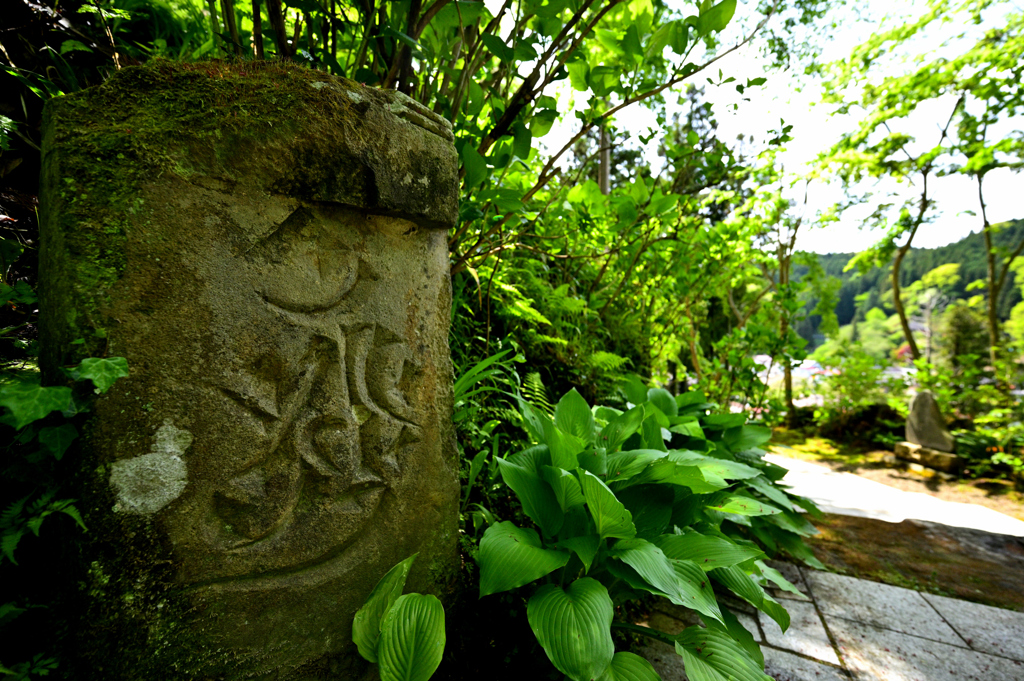 2022-04-30_101350_DSC_0311