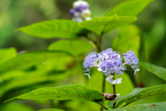 2024-08-24_104143_DSC_2759