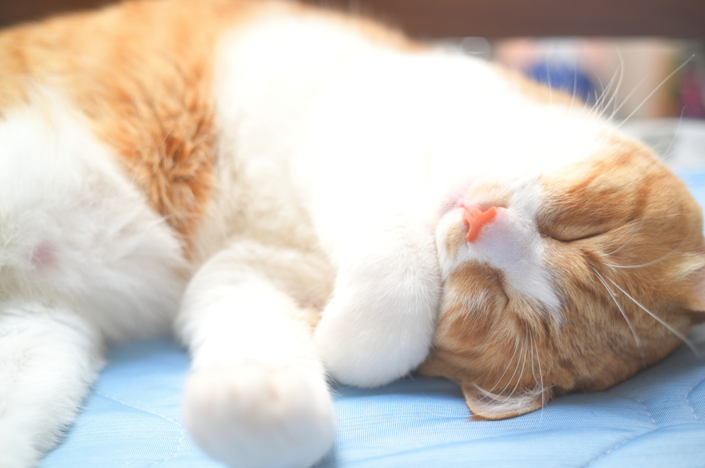 2023-06-08_091008_DSC_6867