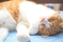 2023-06-08_091008_DSC_6867