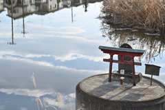 小池の神様