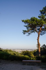 物見遊山