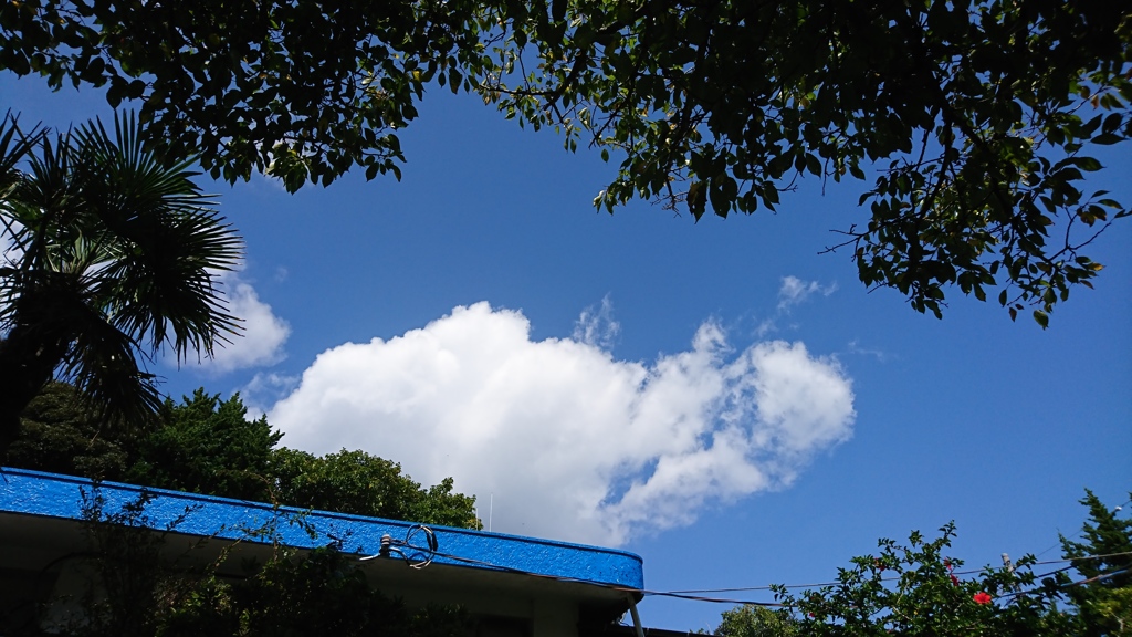 夏休みの空