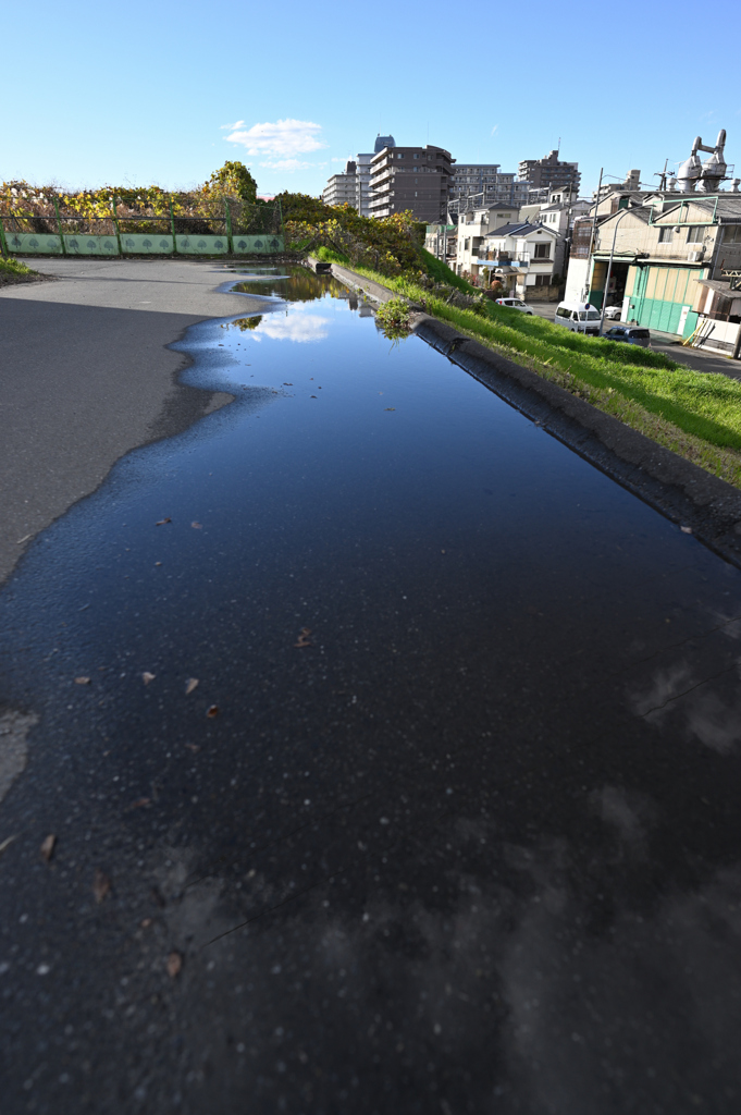 2022-12-18_142653_DSC_8511