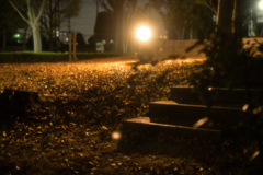 2022-11-19_171627_DSC_5689