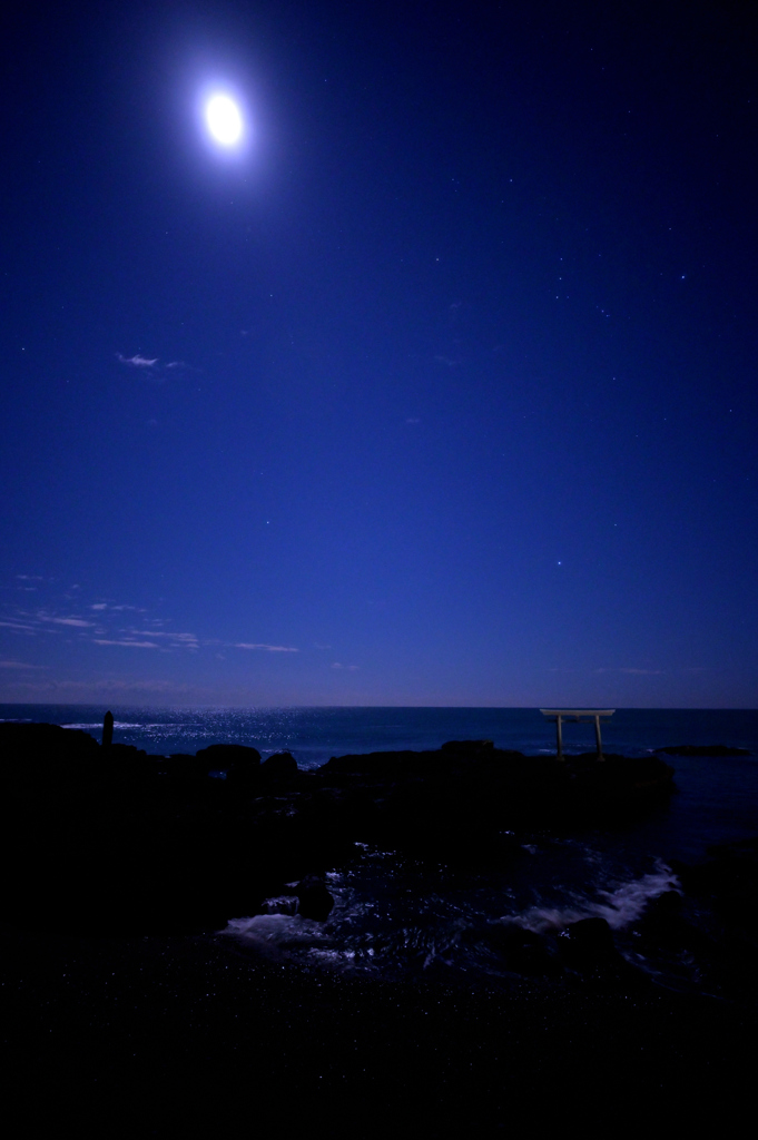 月夜の晩の鳥居