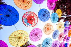 2025-11-15_152726_DSC_6348